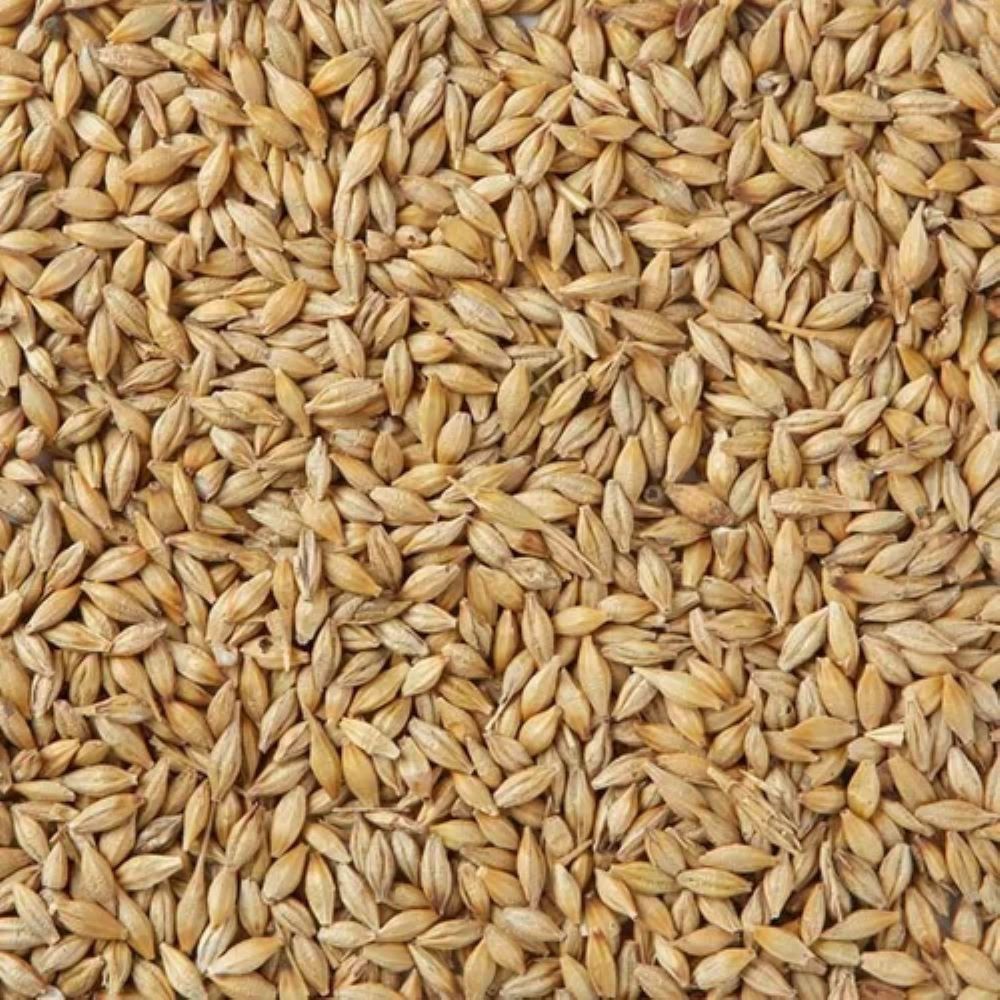 Barley Malt