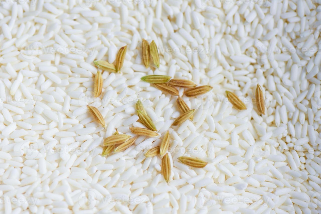 Milled Rice