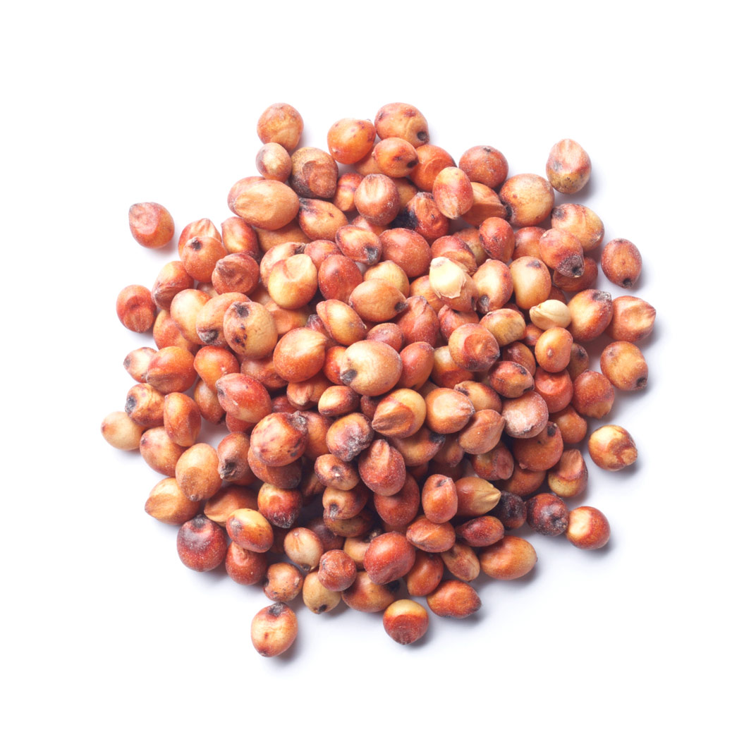 Red Sorghum Grain