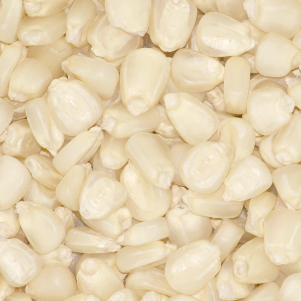 White Maize Bran