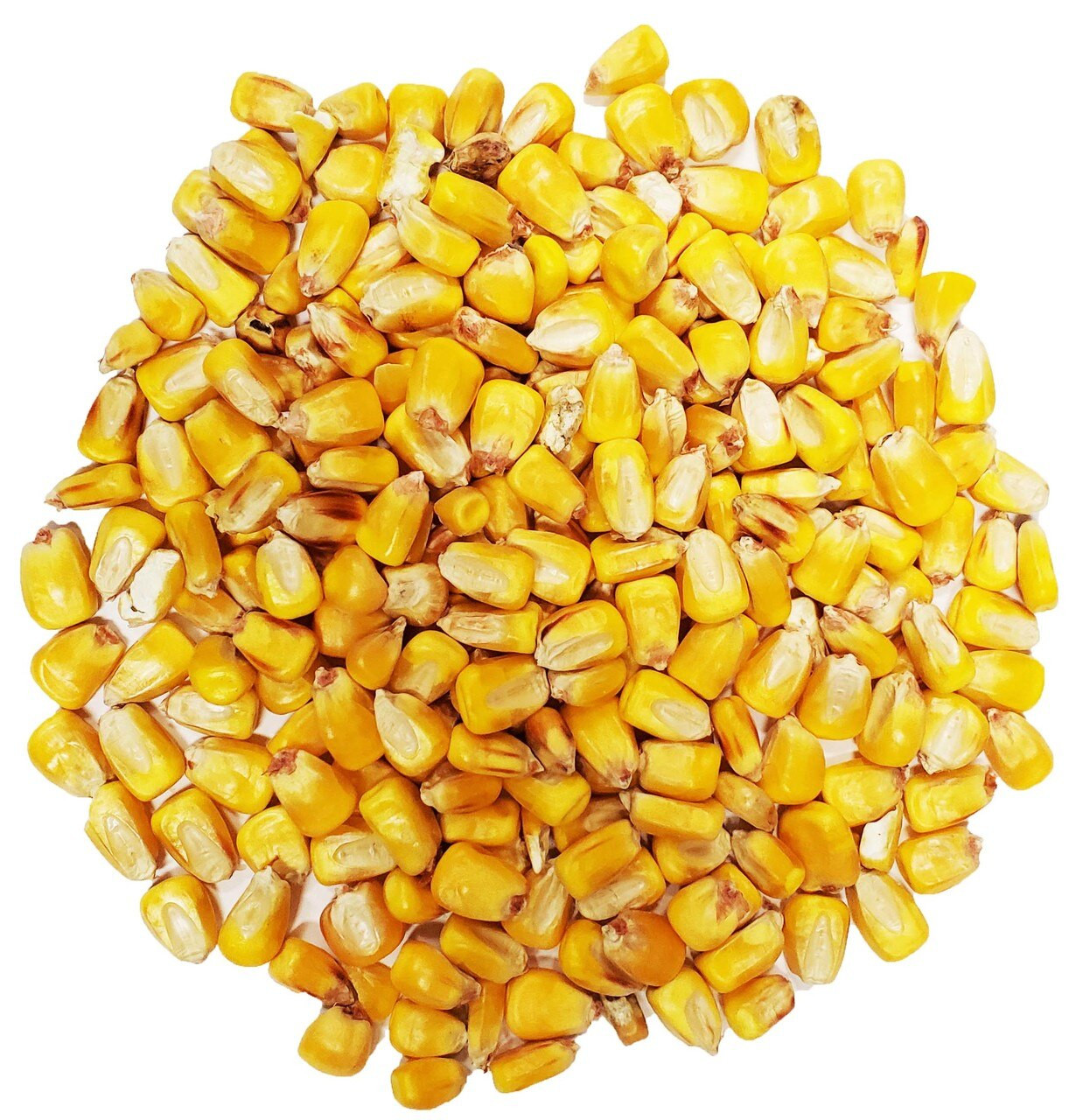 Yellow Maize Grits